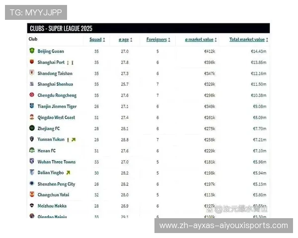 各支中超联赛球队的市场身价排行榜