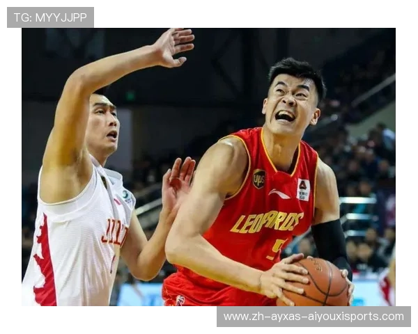 CBA专区与中国足球区内容区别解析